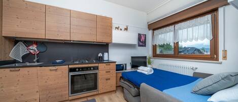 1 makuuhuone, silitysrauta/-lauta, Wi-Fi, vuodevaatteet