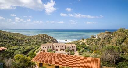 GuestHost - Sea's Peace