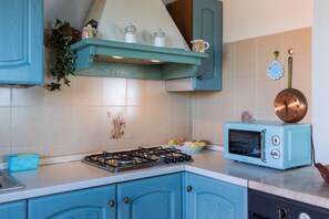 Microones, forn, placa de cuina i cafetera i tetera 