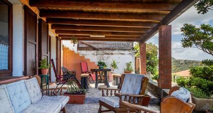 GuestHost - Sea's Peace