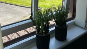 Une fenêtre ornée de deux plantes en pot, posées sur le rebord, donnant sur un champ verdoyant et des maisons.