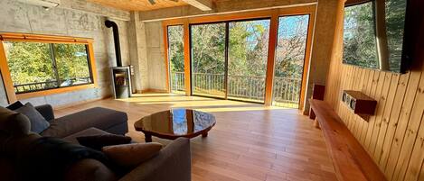 TV connectée, cheminée, livres, chaîne hi-fi