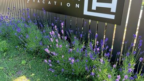 A sign for 'TATEYA VACATION' with a house icon, surrounded by purple flowers.