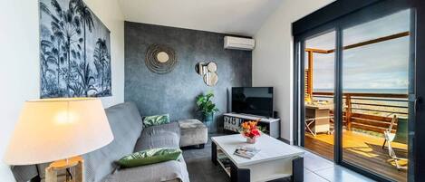 Smart TV, DVD player, books, video library
