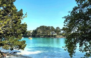 Un lac paisible aux eaux limpides, bordé d’une forêt dense et abritant une petite île sur laquelle se trouve une maison.