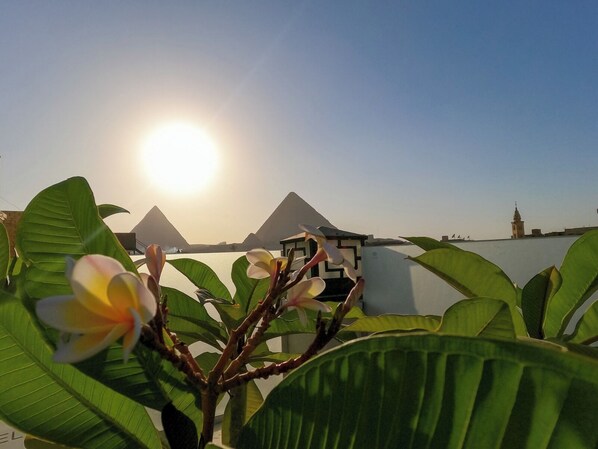 A view of the pyramids with a building in the foreground and a tower in the background.