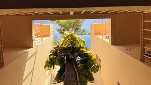 A room with a view of a palm tree and a clear blue sky through a window.