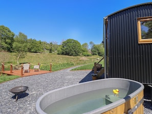 Terrace/patio - Celyn (Dolgellau)