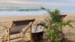 Ein Strand mit einem Holzstuhl und einer kleinen Pflanze.