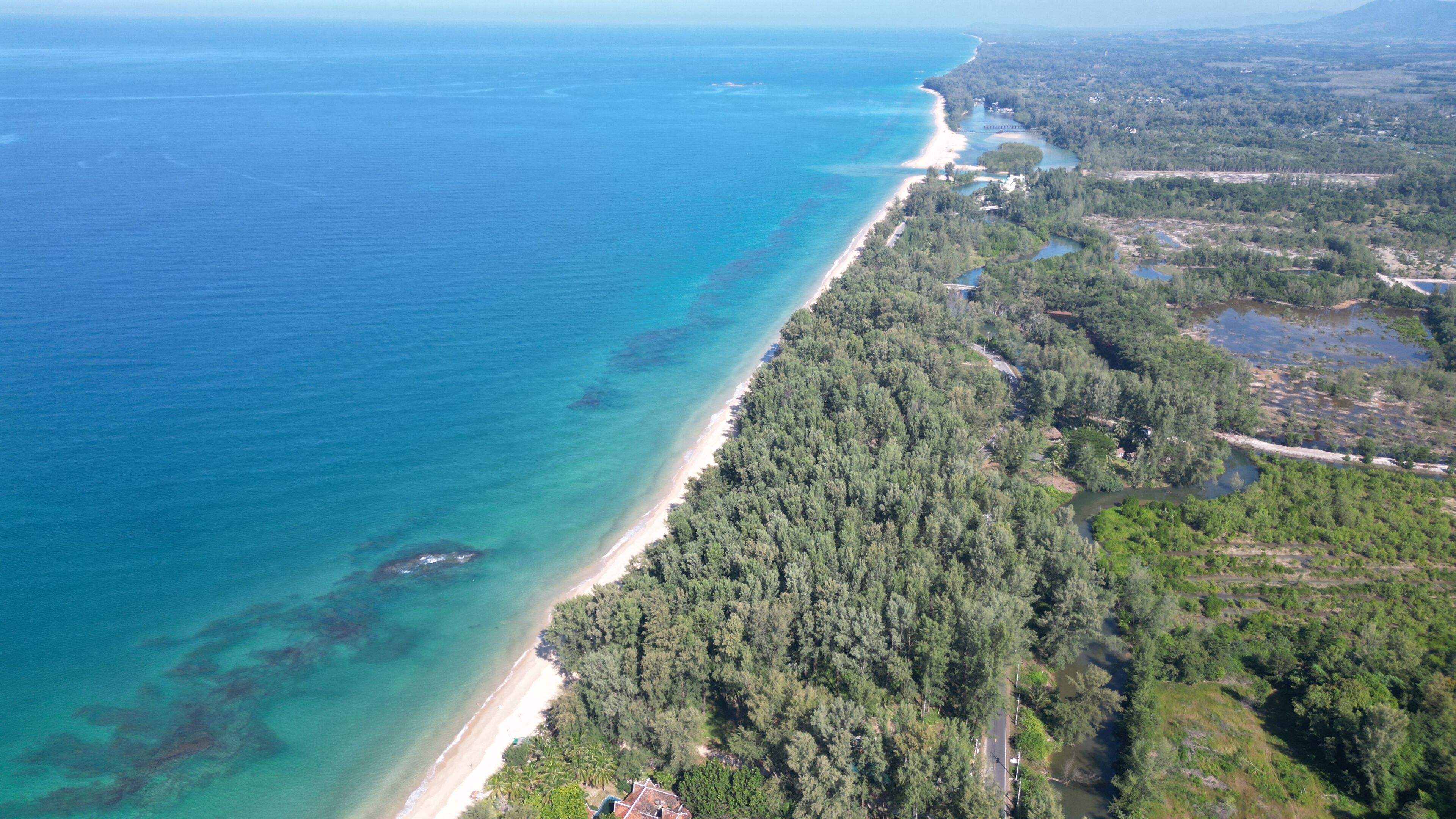 An aerial view of a coastal area with a beach, dense forest, and a road.
