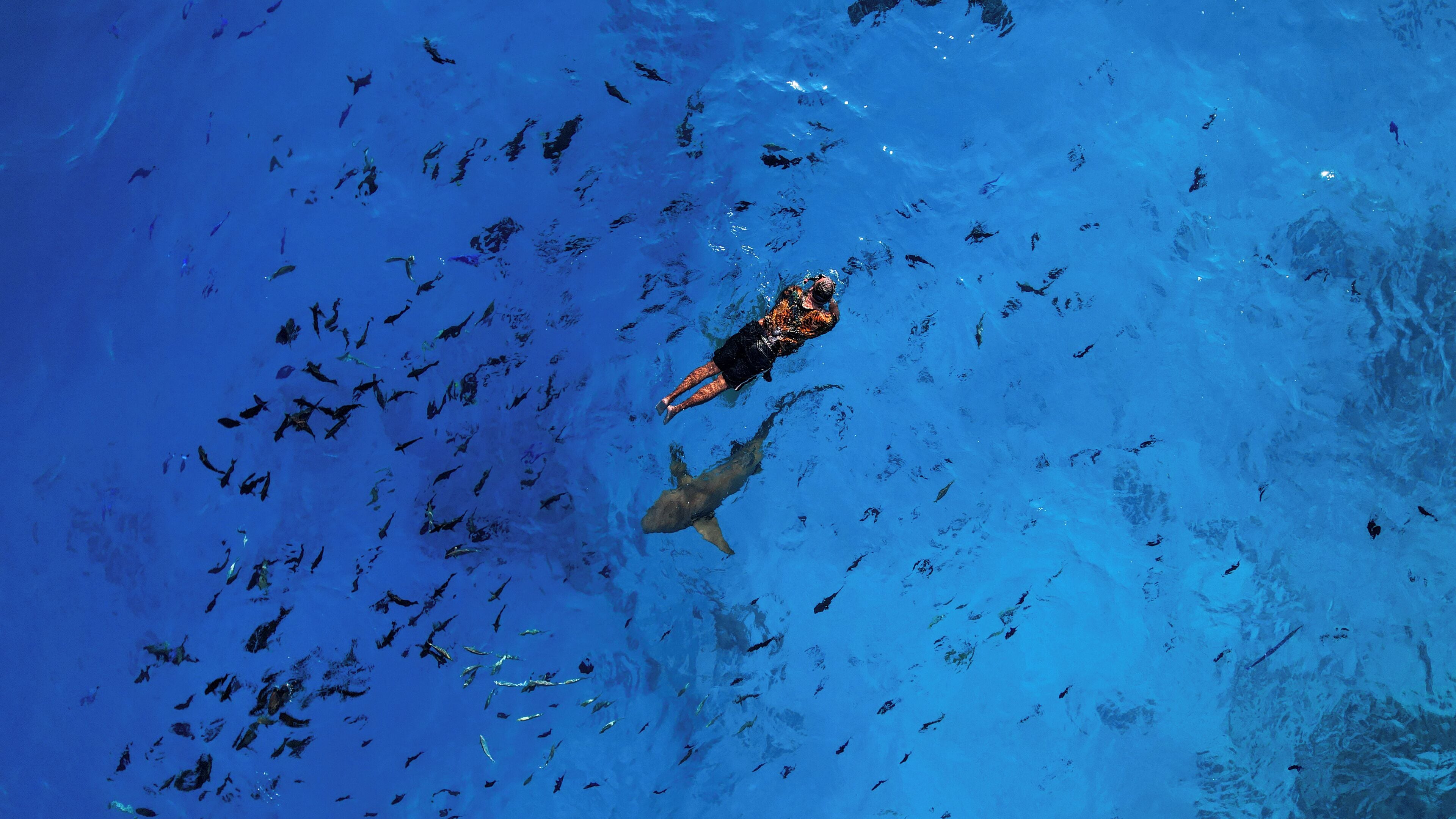 Photo - SEASUNBEACH Maafushi