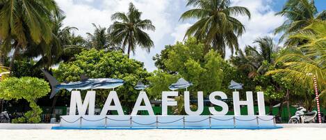 Un letrero frente a la playa con el nombre 'MAAEFUSHI' y palmeras al fondo.