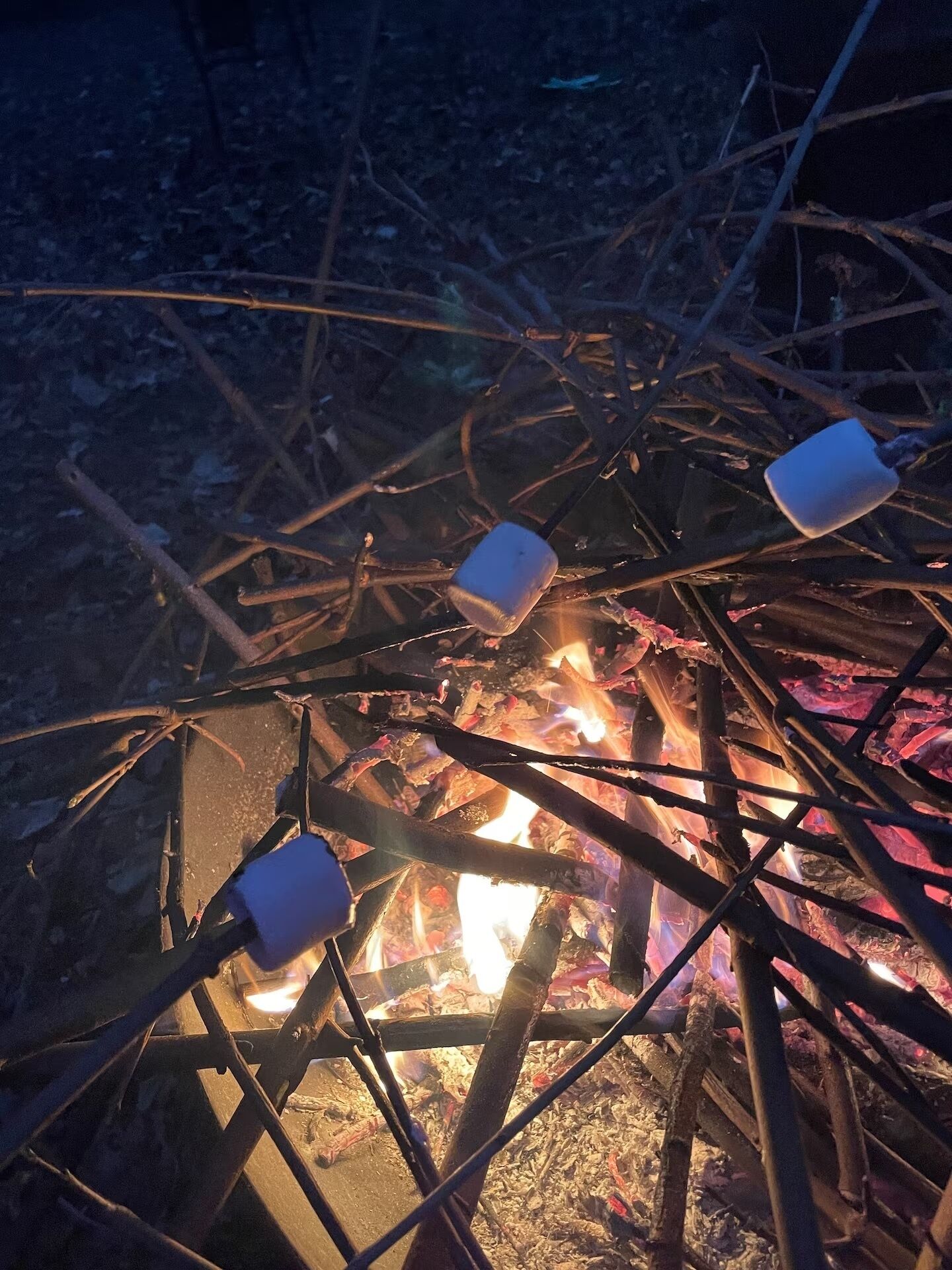 A campfire with marshmallows and sticks.