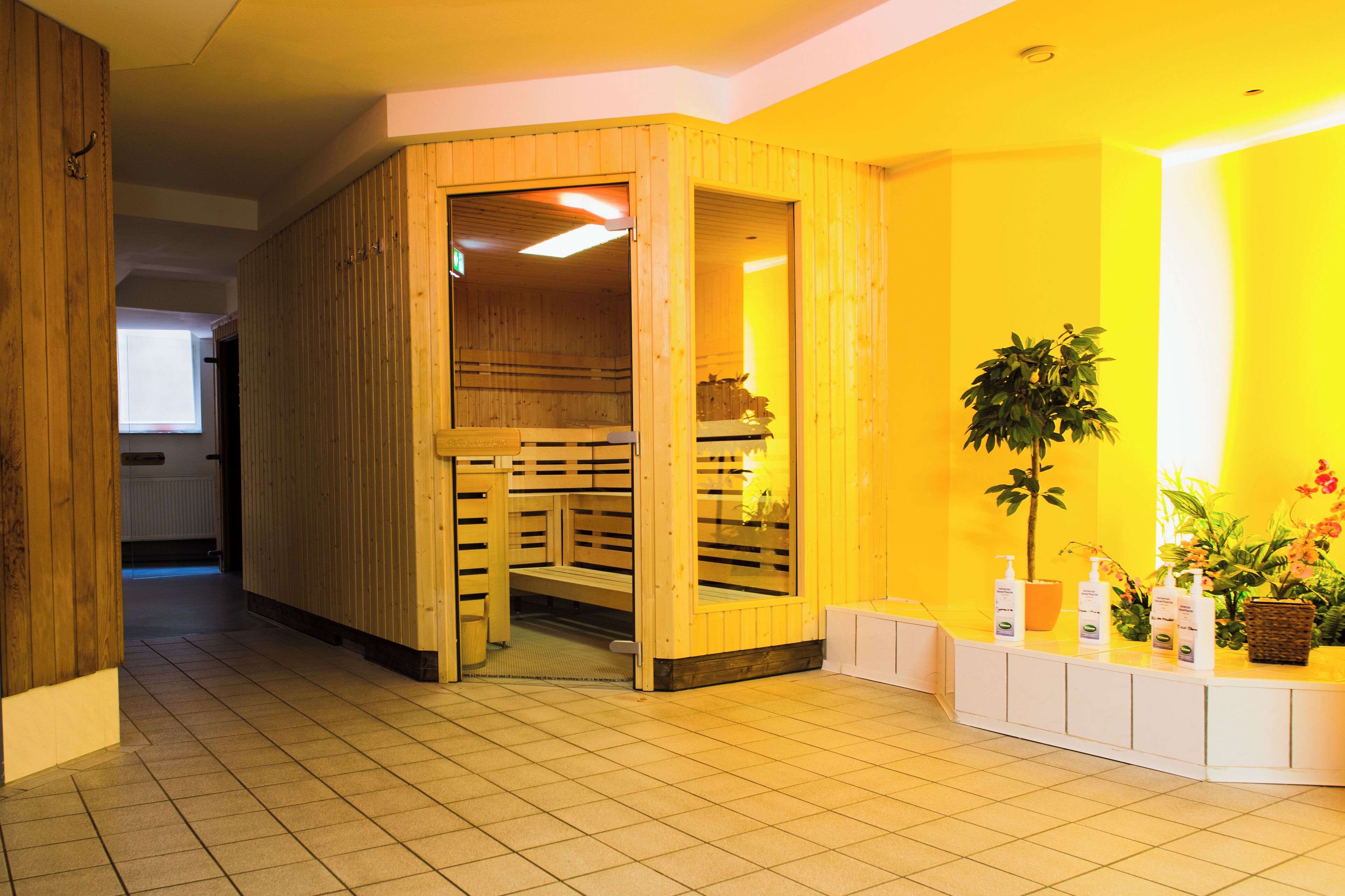 A wooden sauna room with benches, a reception desk with toiletries, and a potted plant.