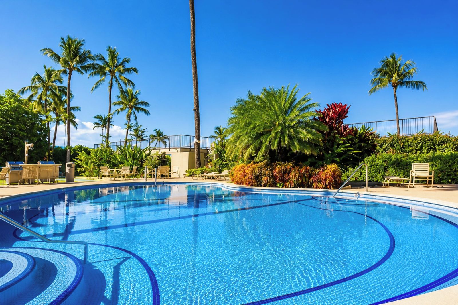 A clear blue swimming pool surrounded by palm trees and lounge chairs.
