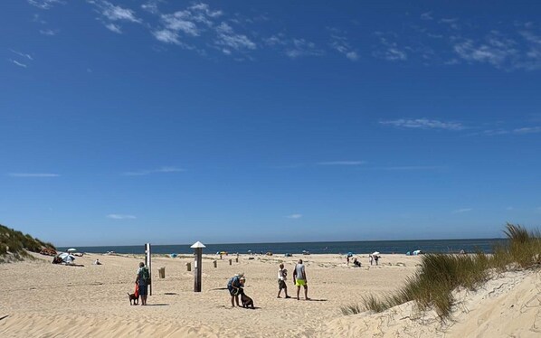 Playa en los alrededores 