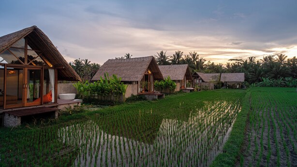 A row of thatched-roof cottages with wooden balconies, set in a lush green field with a water body in the foreground. - Pondok Mawas (Ubud)