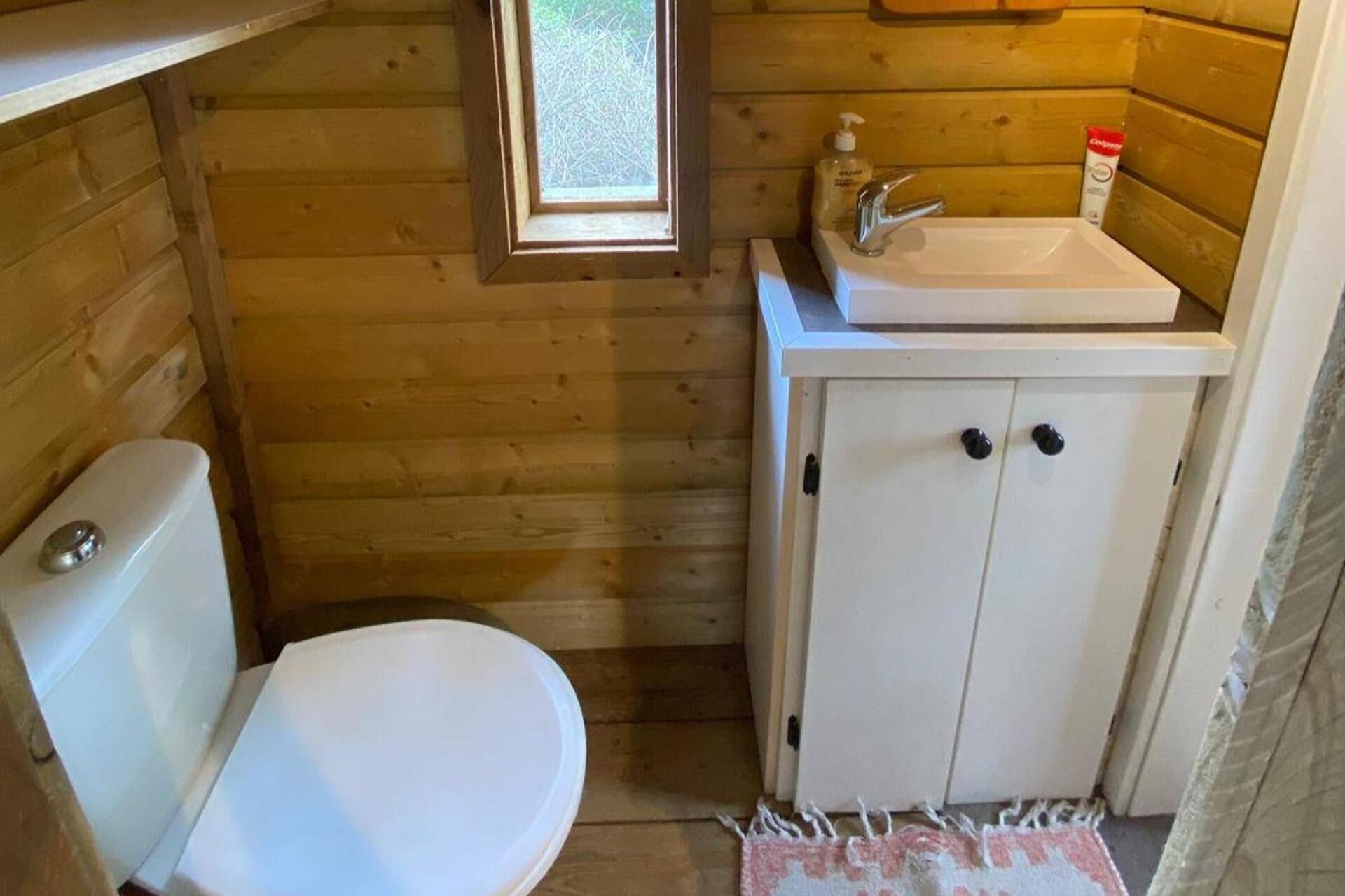 Baño de una cabaña de madera pequeña con un inodoro, un lavabo y un armario.