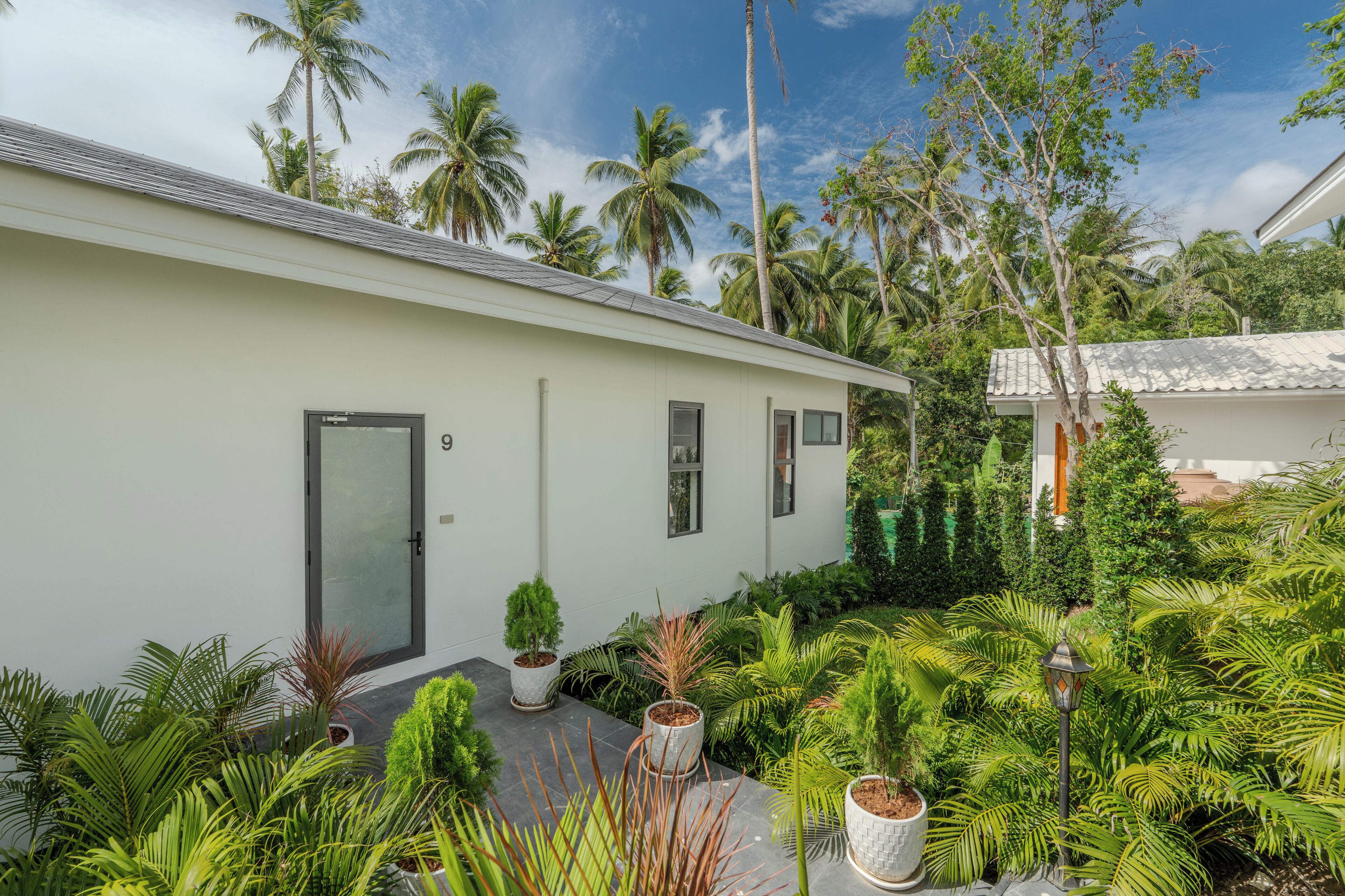 Un bâtiment moderne doté d’un toit plat, entouré d’une végétation tropicale luxuriante et de palmiers.