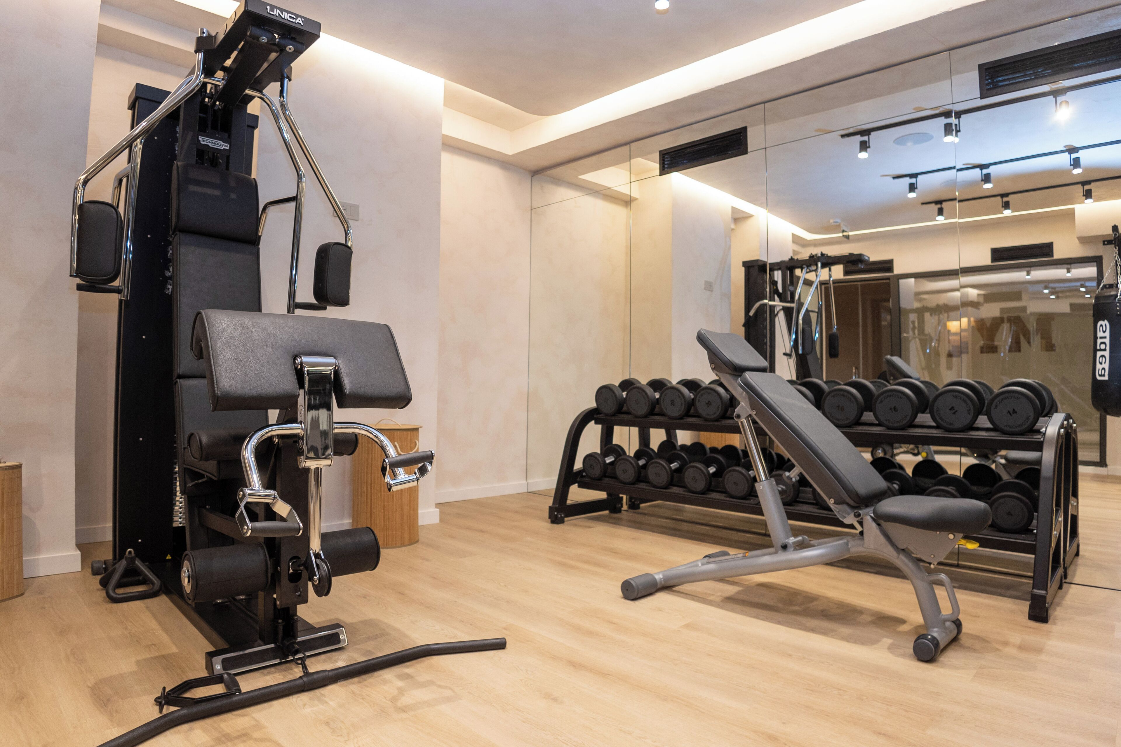 A gym with a bench press, dumbbells, and a squat rack.