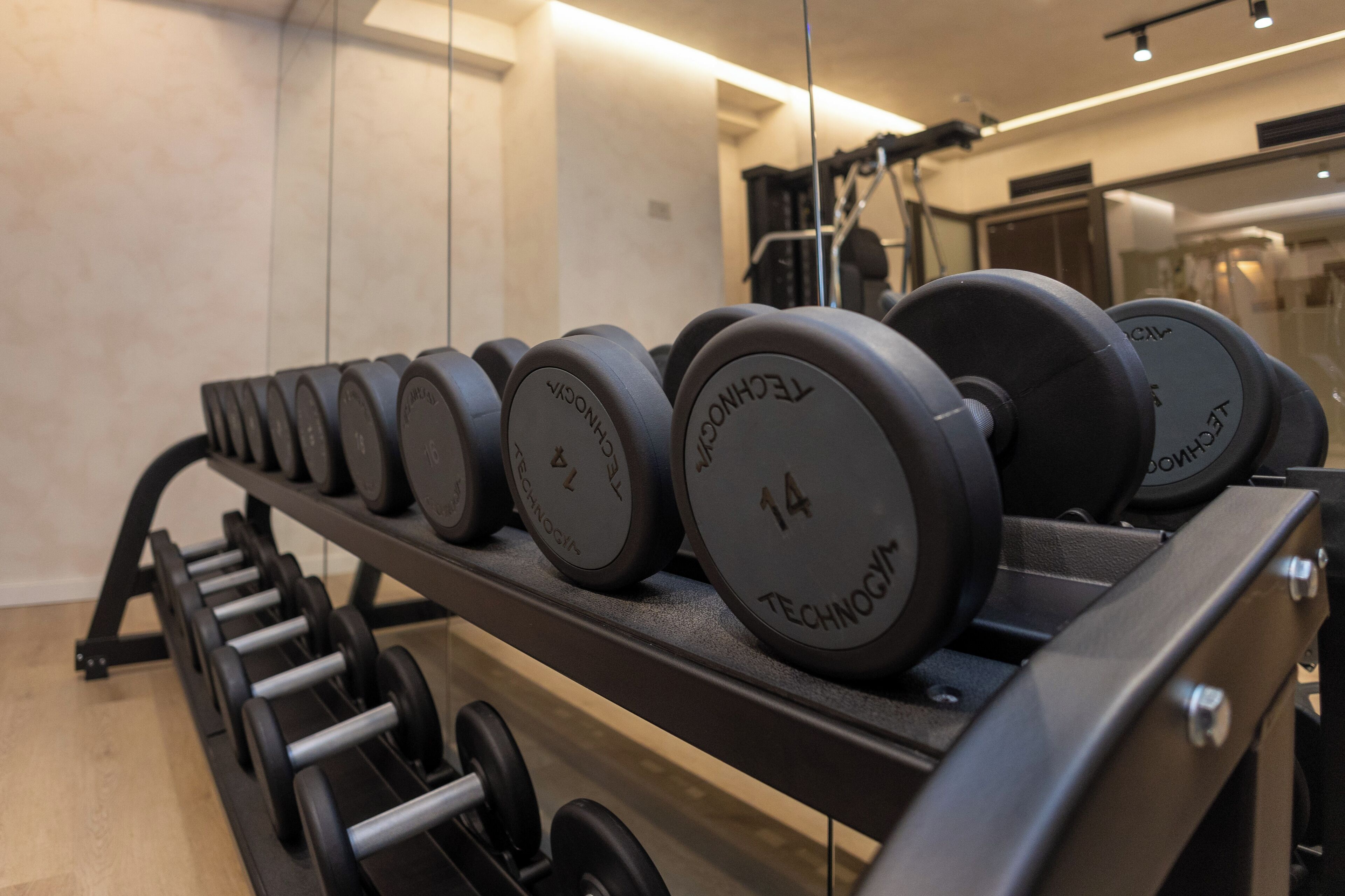 Una hilera de discos de pesas en un estante de gimnasio.