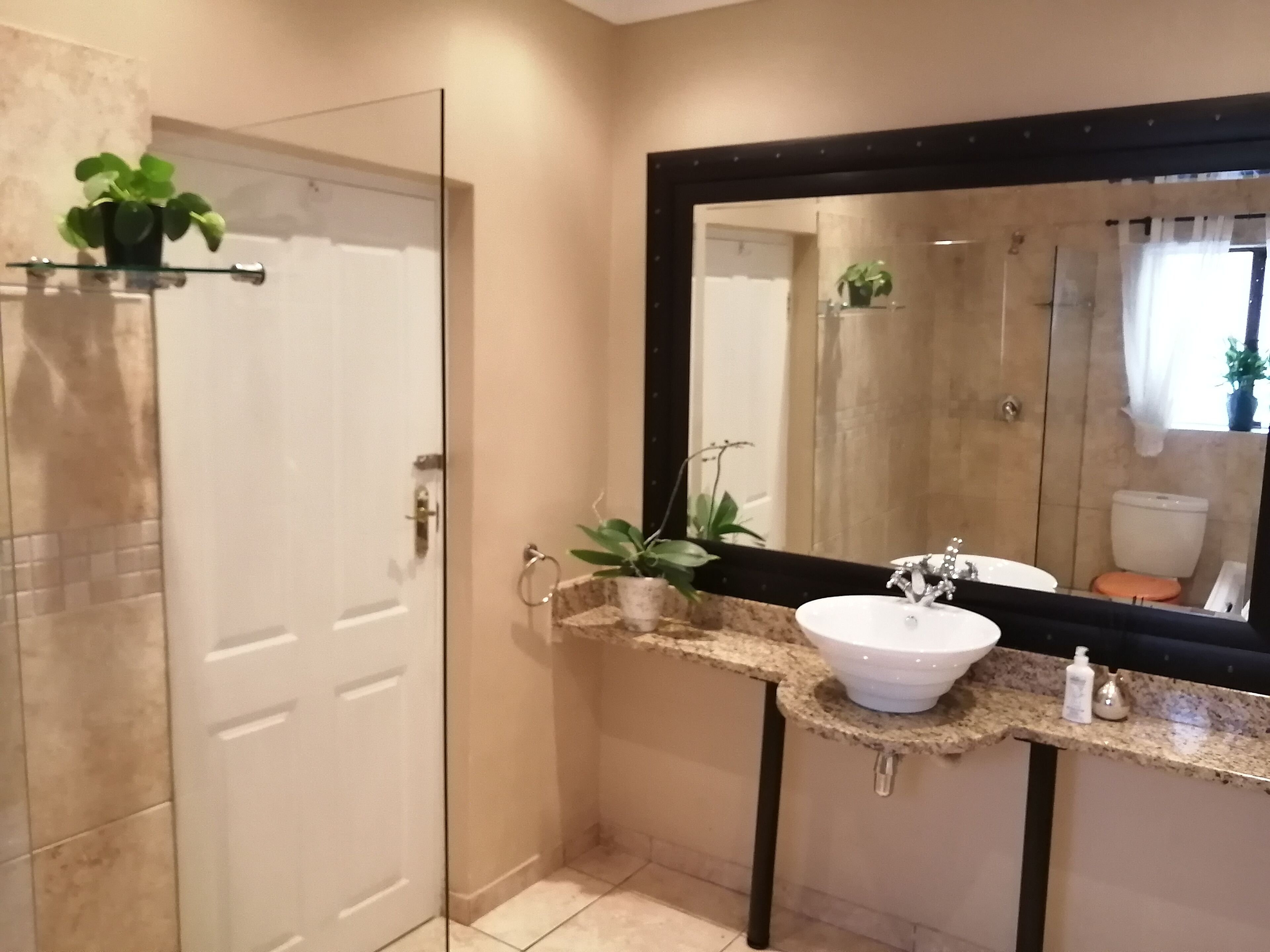 A bathroom with a glass shower door, a white sink, a large mirror, and a potted plant.