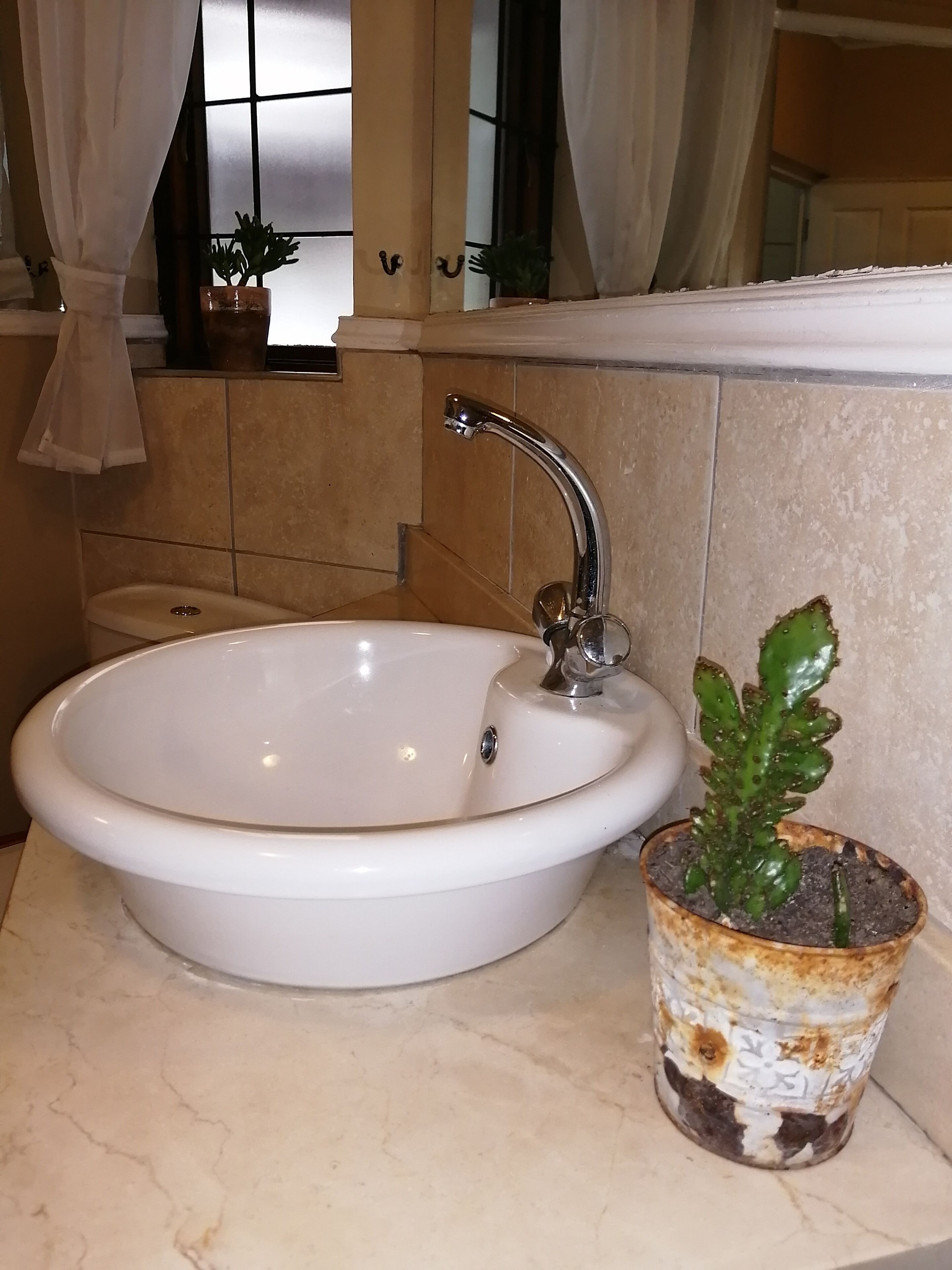 A bathroom with a white sink, a chrome faucet, and a potted cactus.