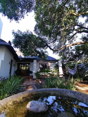 Garden view