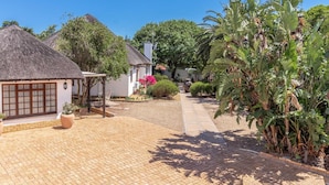 A courtyard with a thatched-roof structure, a white building with a window, and a large plant. - Beulah Lodge (Cape Town)