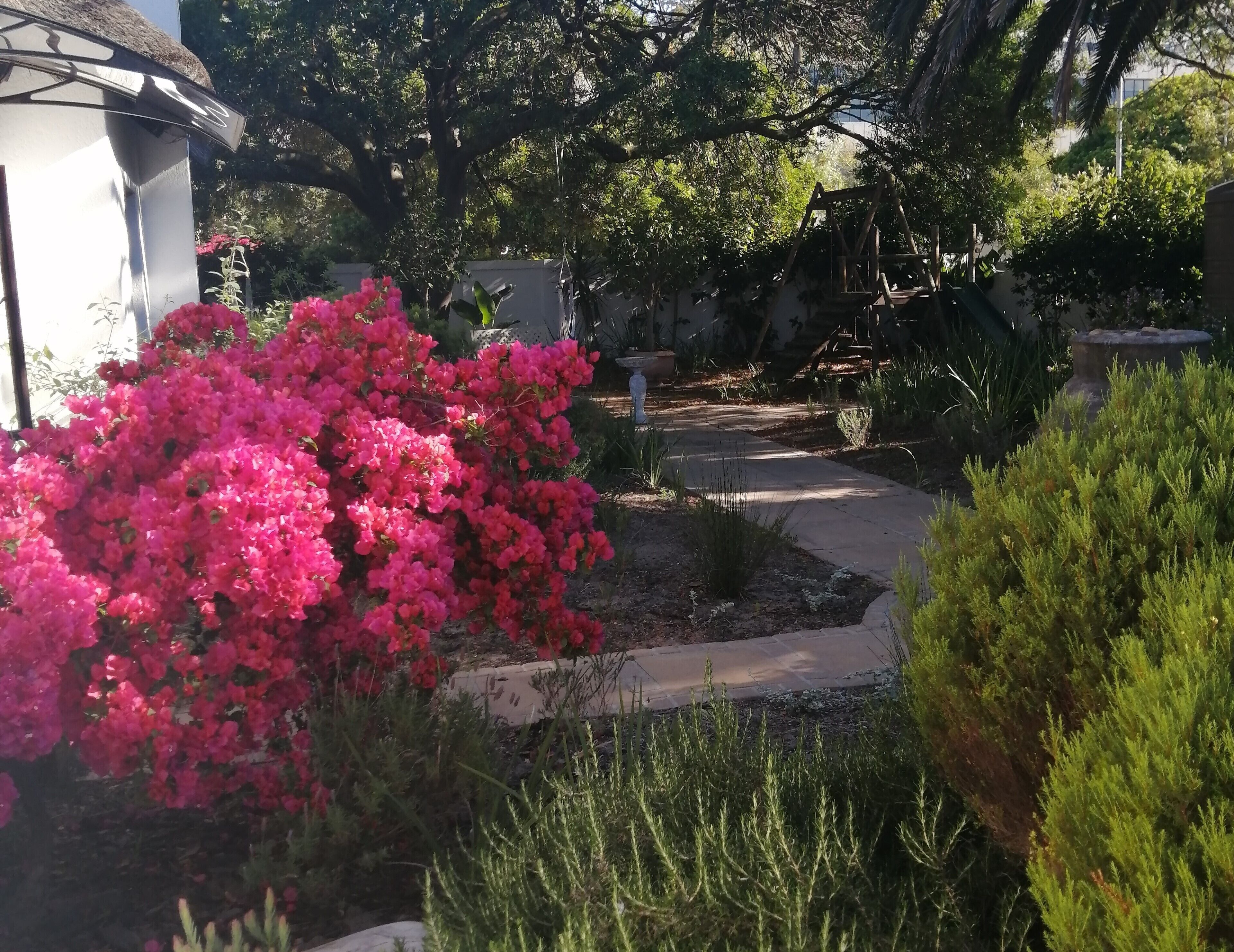 A garden with a pathway, a white building, and various plants.