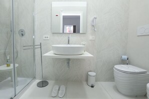 Shower, hair dryer, bidet, towels