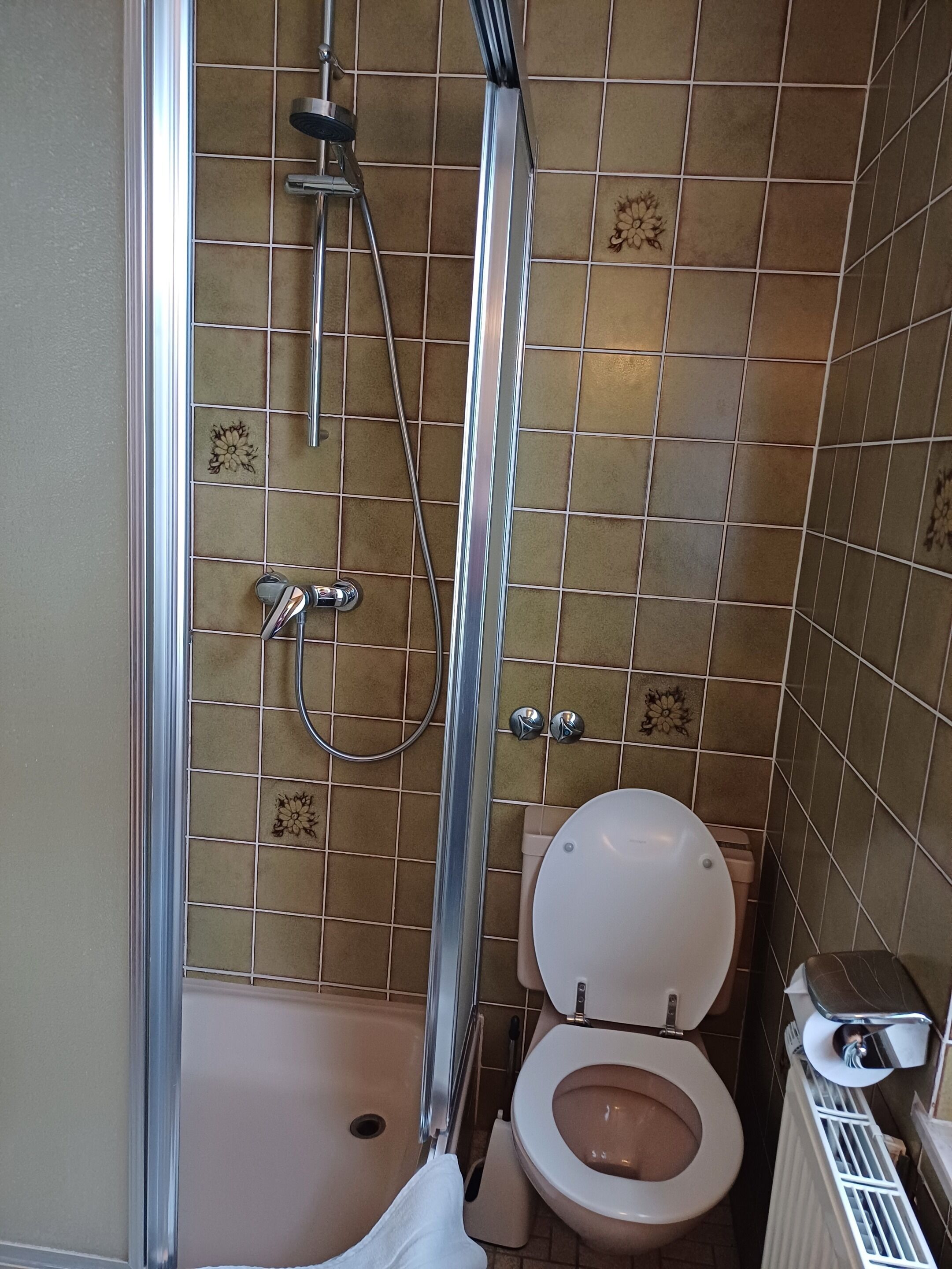 A bathroom with a shower, toilet, and radiator.