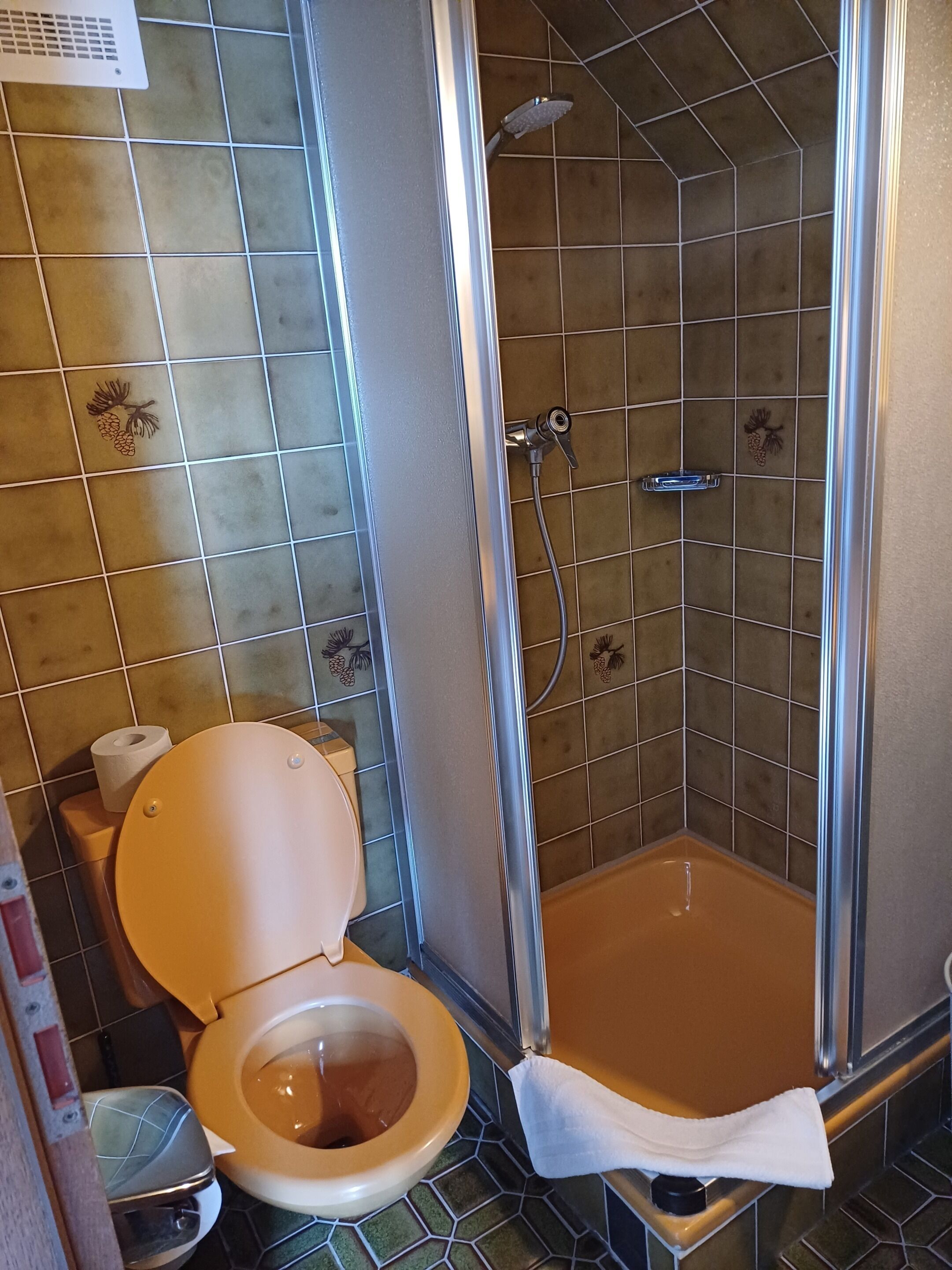A bathroom with a toilet, a shower, and a tiled floor.