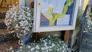 Un panneau d’affichage où sont accrochées diverses annonces, ainsi qu’un panneau portant le logo de HolidayCheck.