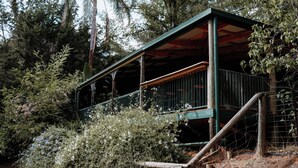 Un espace extérieur abrité, doté d’un escalier et entouré d’une végétation luxuriante.