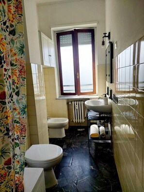 Hair dryer, bidet, towels, soap