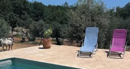 Charmant Bastidon provençal -