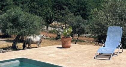 Charmant Bastidon provençal -