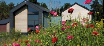Bio-Seehotel Chalets am Zeulenrodaer Meer im Thüringer Vogtland