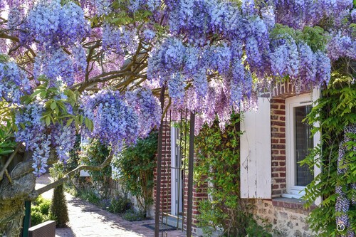 Le Cottage aux Roses - 15 min Deauville - 7 people
