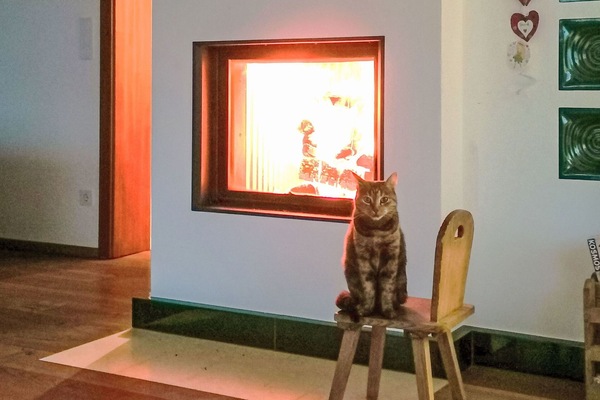Feuerstelle, Bilderrahmen, Hartholz, Wohnzimmer, Kamin