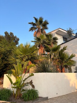Una casa moderna con facciata bianca, circondata da diverse piante tropicali.