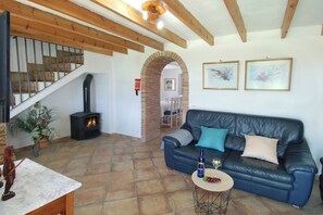 Smart TV, fireplace, books