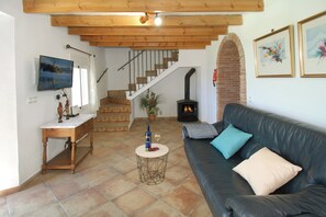 Smart TV, fireplace, books