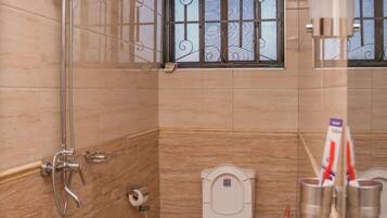 Shower, towels, soap, toilet paper