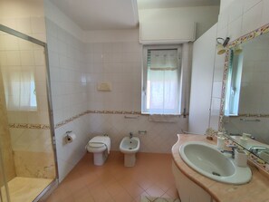 Hair dryer, bidet, towels, soap