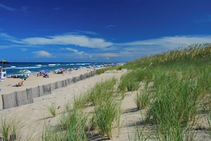 Plage à proximité