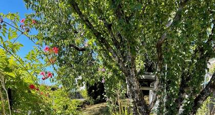 Rez de jardin neuf de 33 m2 dans maison au centre du bourg. Terrasse ombragée
