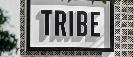 Un letrero con la palabra 'TRIBE' sobre un fondo blanco con un diseño de cuadrícula.