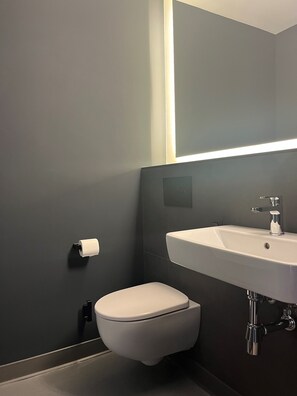 Rainfall showerhead, hair dryer, towels, soap